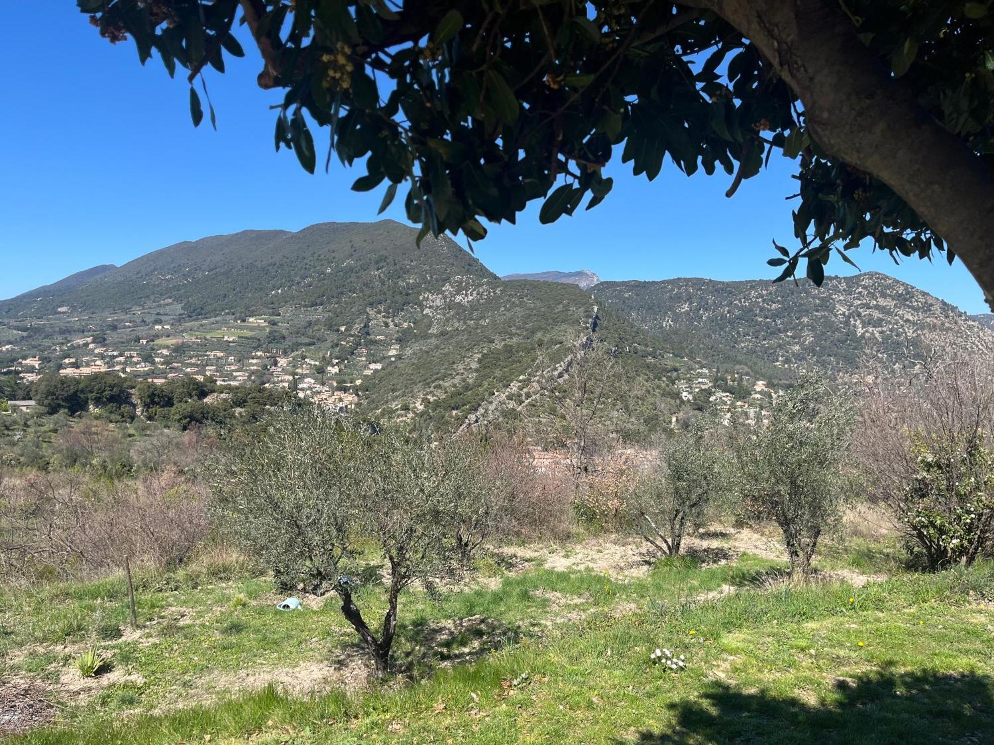 니옹 Cabanon Entoure De Montagnes Et D'Oliviers 빌라 외부 사진